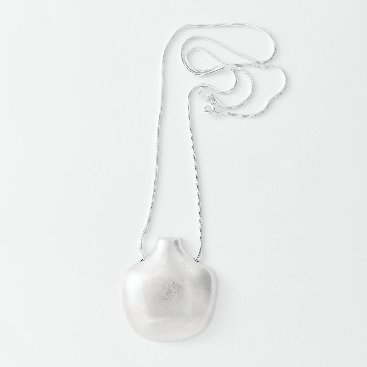 Silver pendant necklace on white background