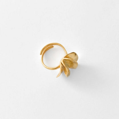 Gold ring on white background