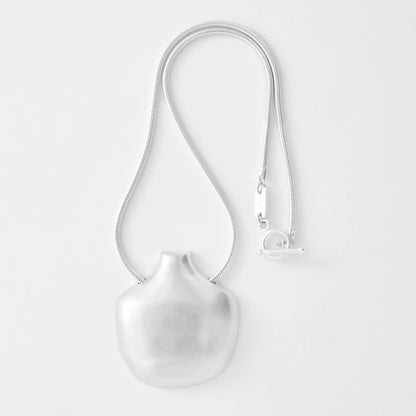 Silver pendant on white background