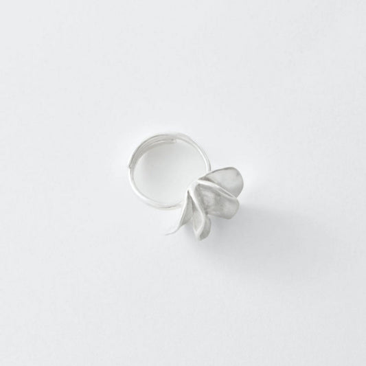 Silver ring on a light gray background