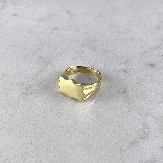 Product photo of a signet ring by Aur Studio in gold.